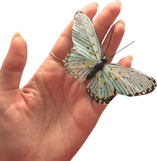 Mini Butterfly Hair Clips