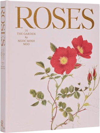 Roses in the Garden