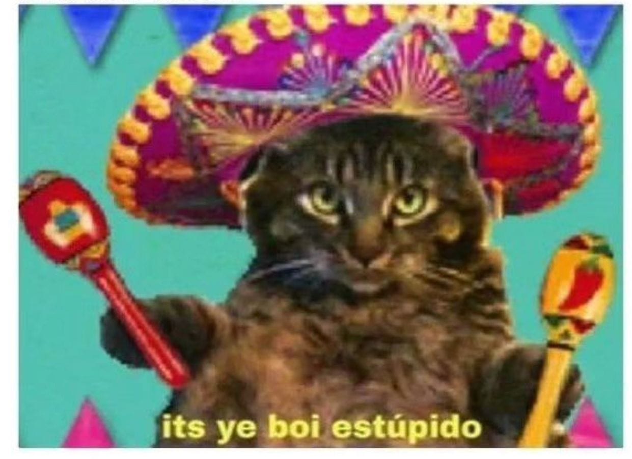 Ye Boi Estupido