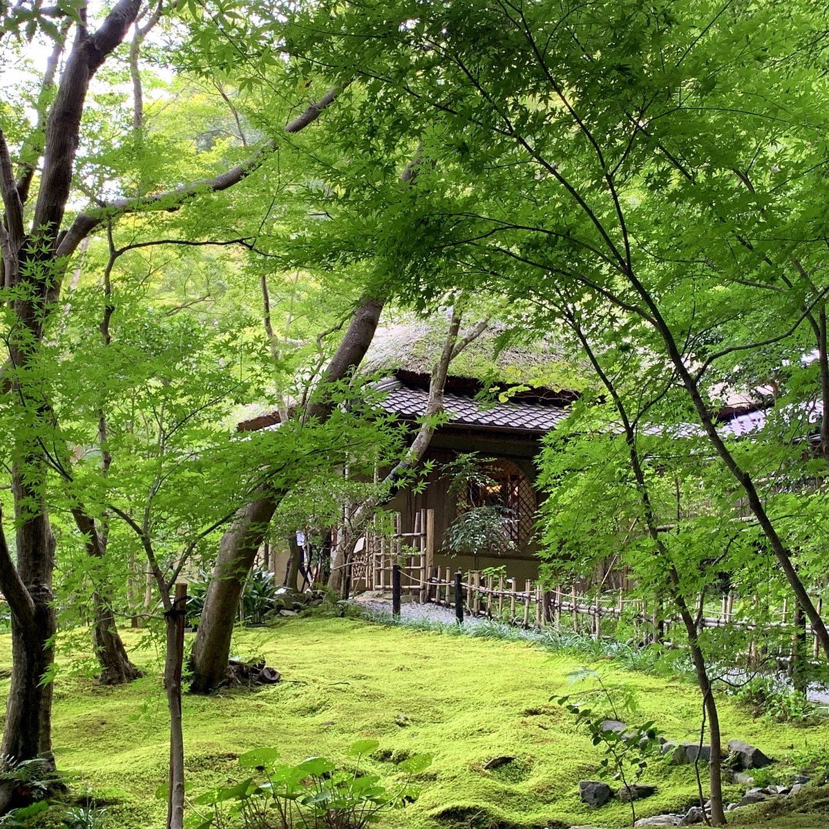 Giōji Temple