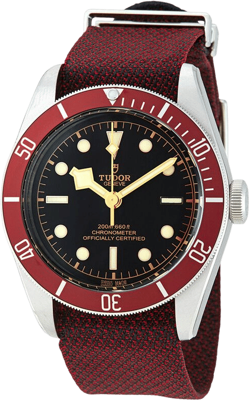 Tudor Black Bay 