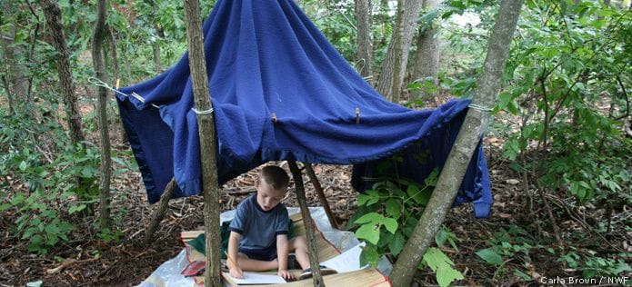 Build an Outdoor Fort