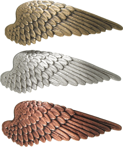 ANGEL WING French Barrette 70mm