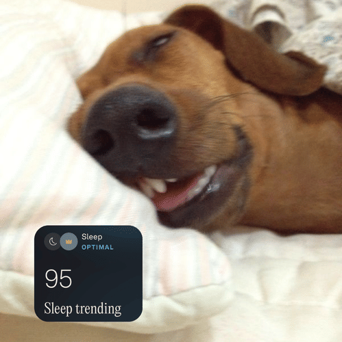 95+ Sleep Score