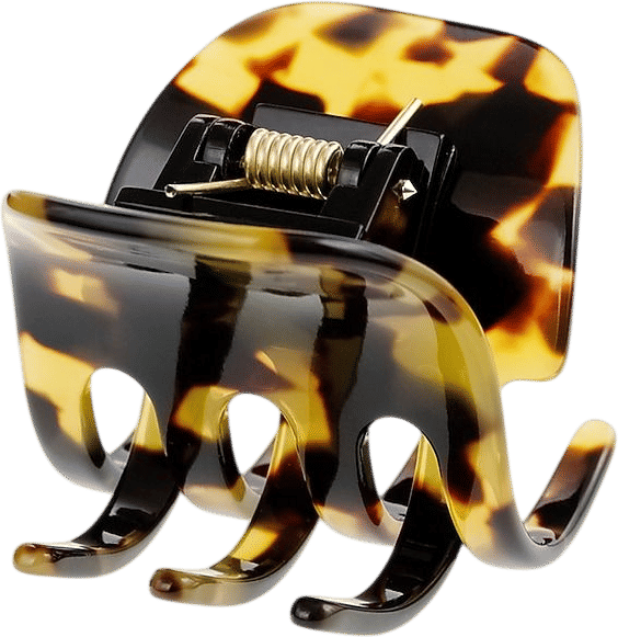 Jcrew tortoiseshell hair clip