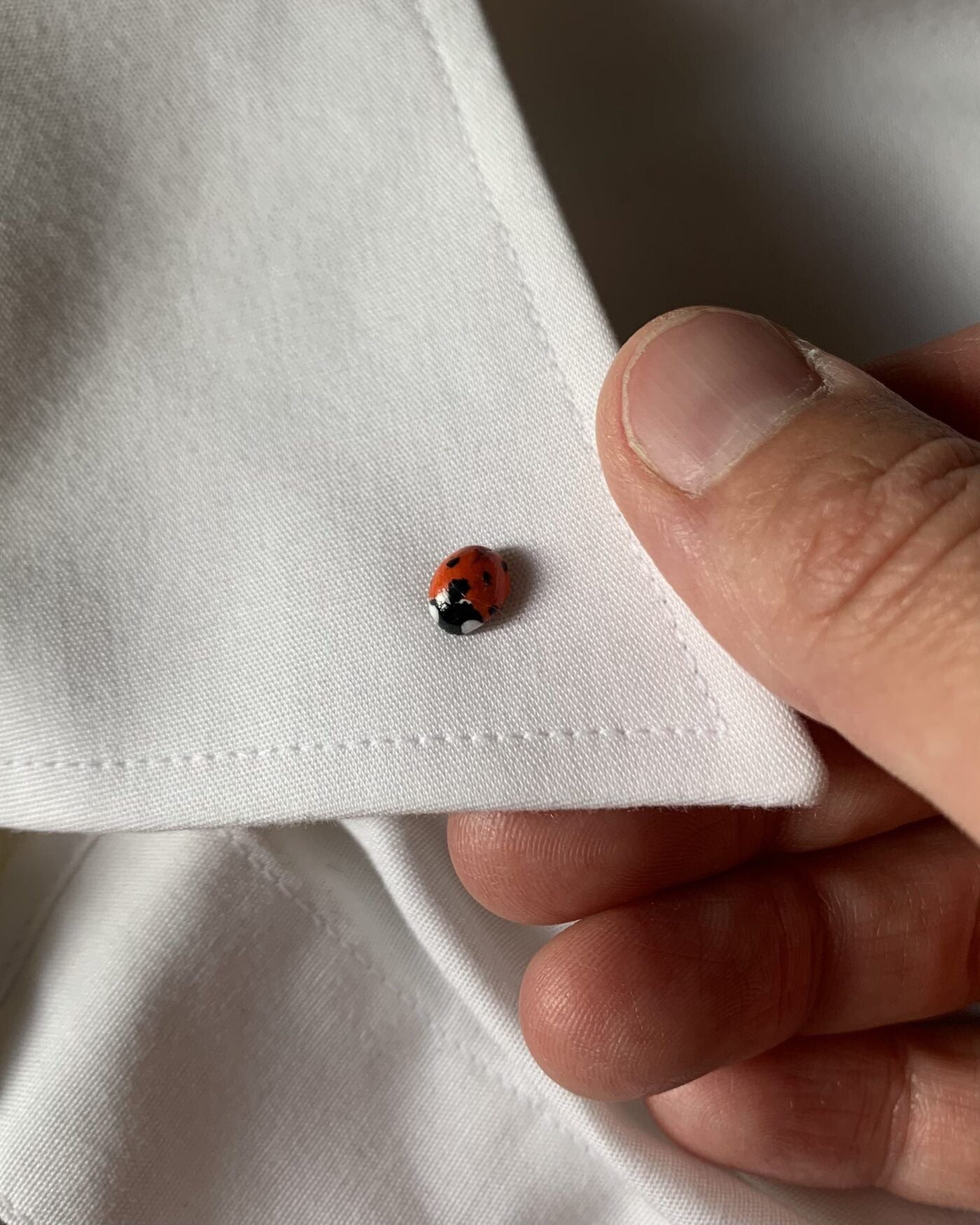 The cutest pin 🐞
