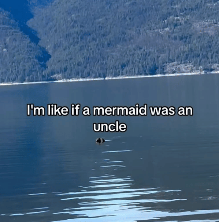 i'm like if a mermaid was an uncle