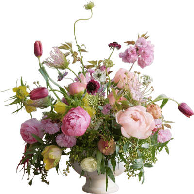 Fell Flowers