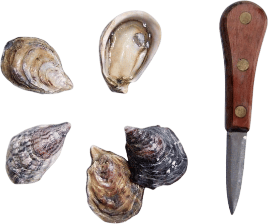 Tomales Bay Oysters