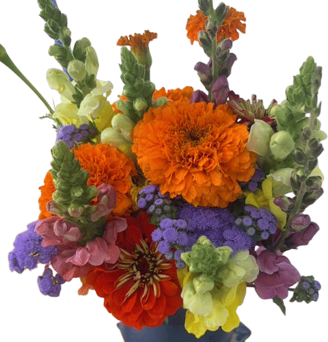 GrowNYC Farmers Market Flowers