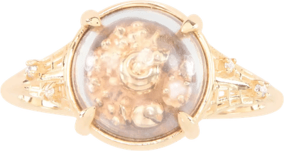 Still Life with Oyster Ring