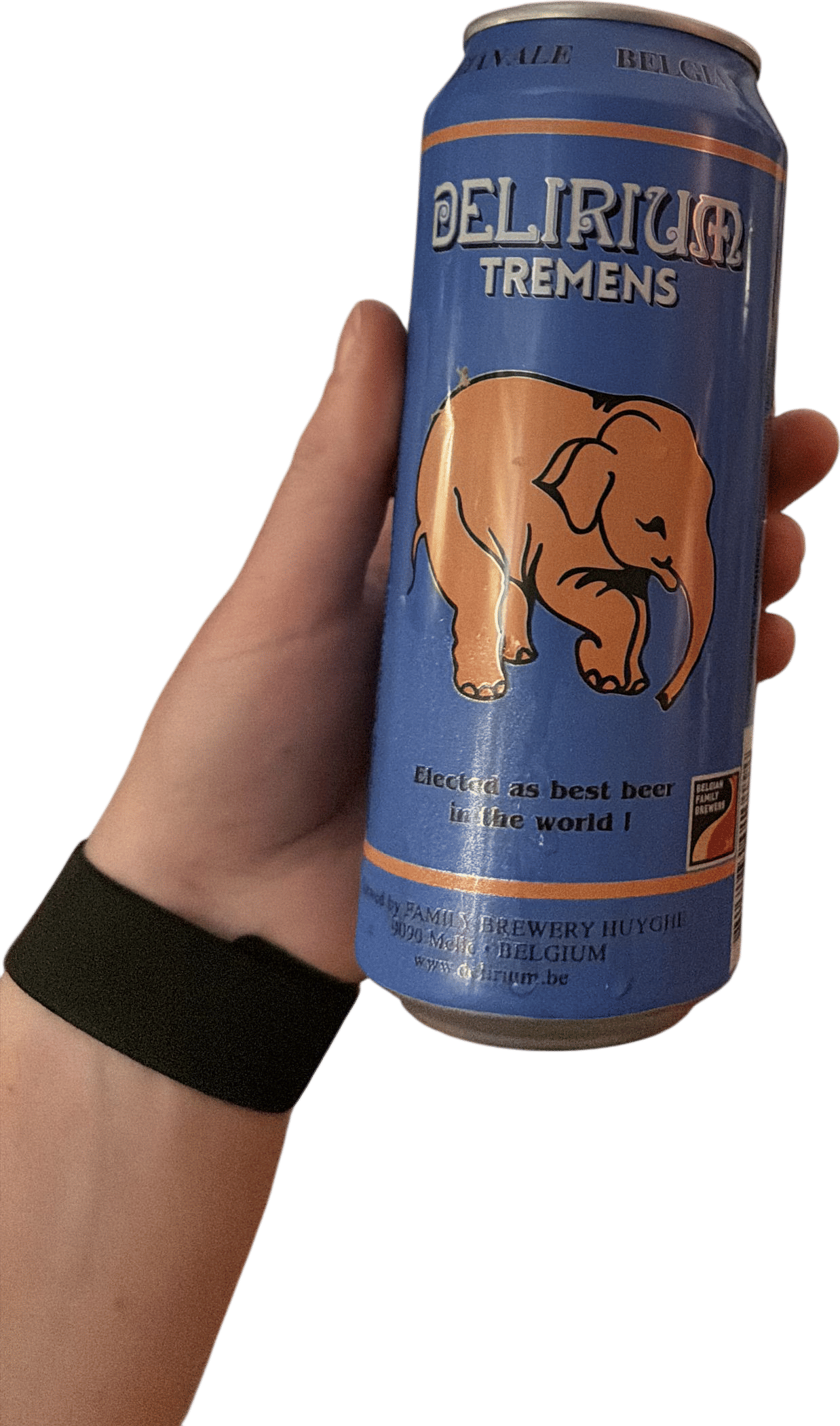 Delirium Tremens (🇧🇪)