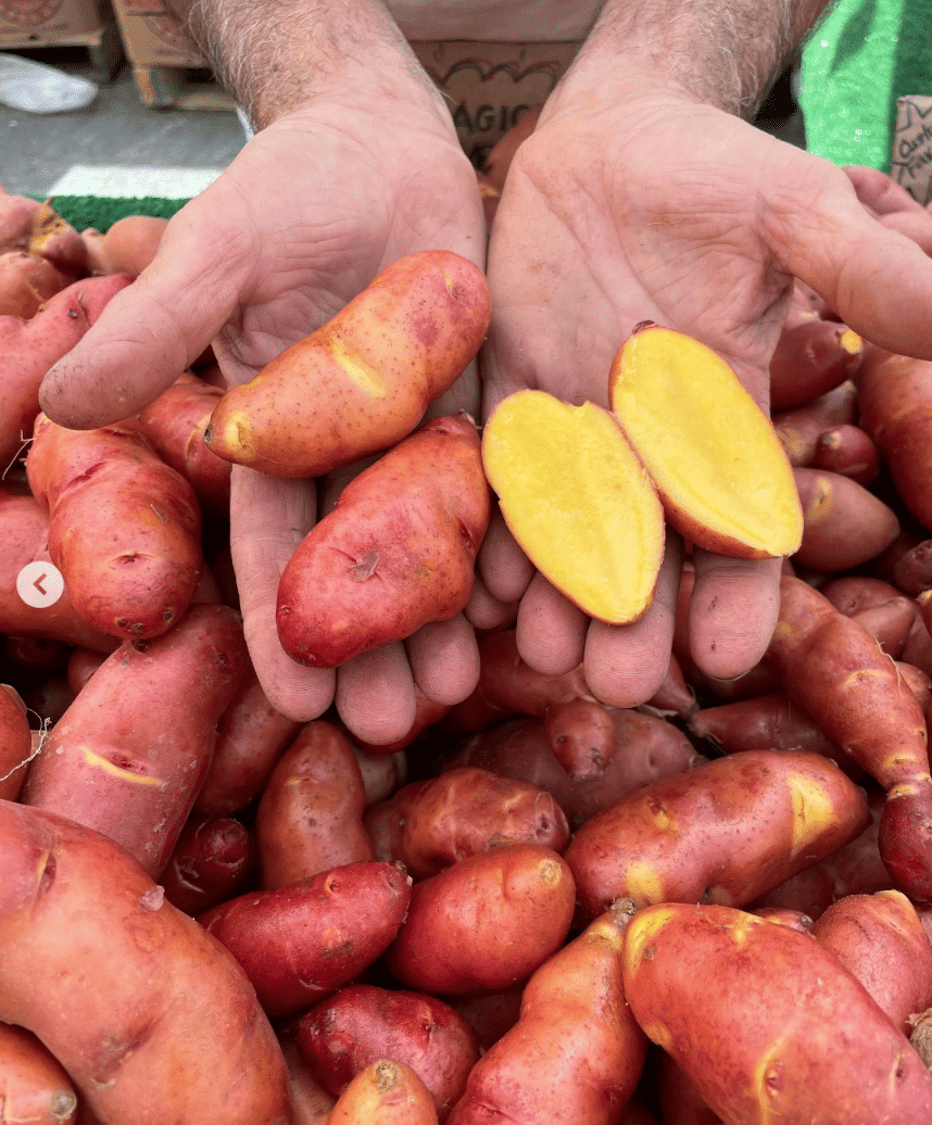 Magic Myrna Potatoes