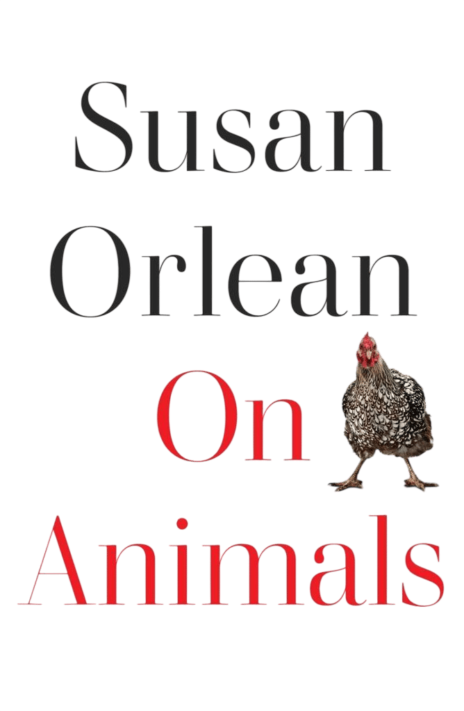 On Animals