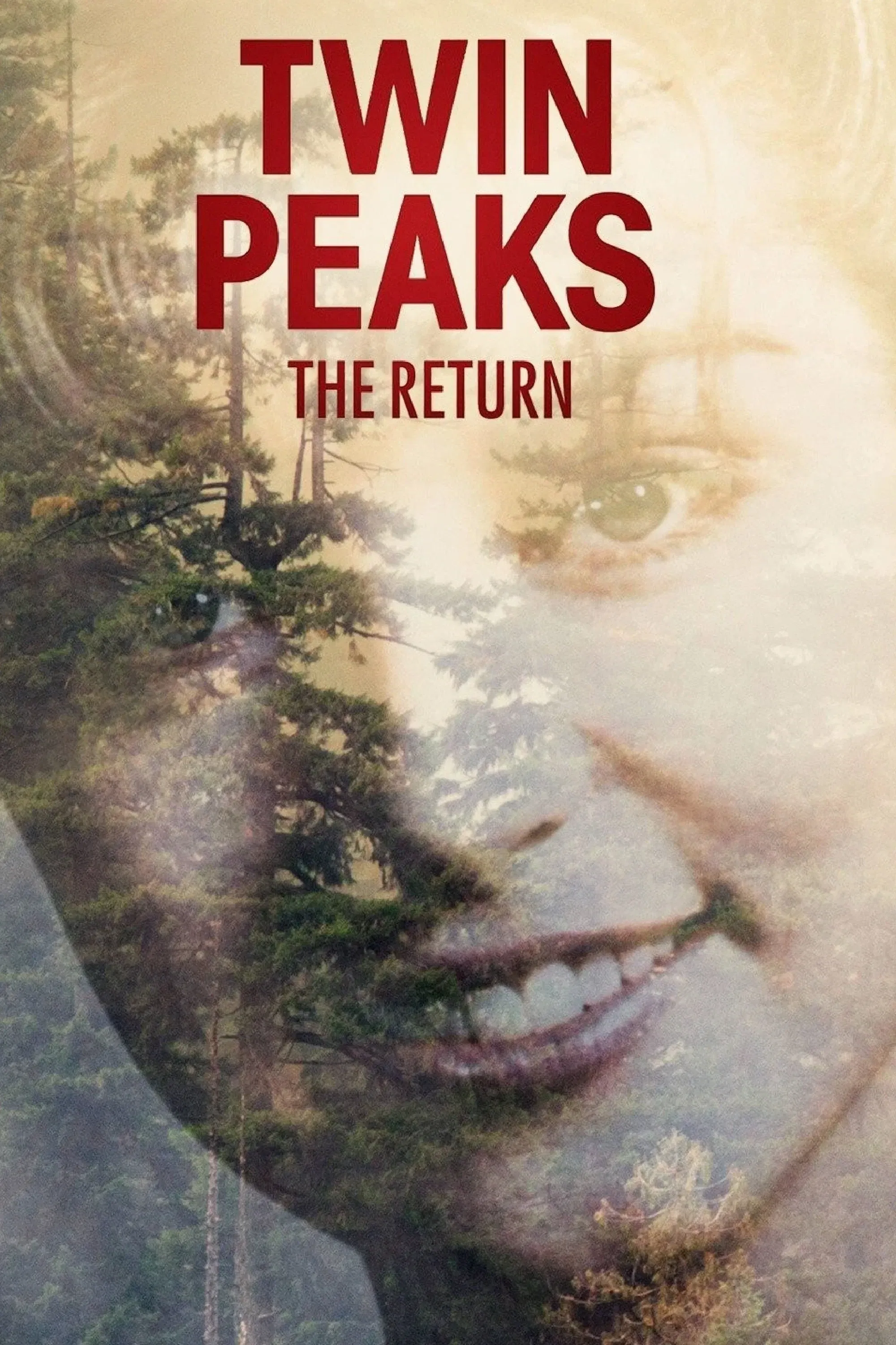Twin Peaks: The Return (2017)