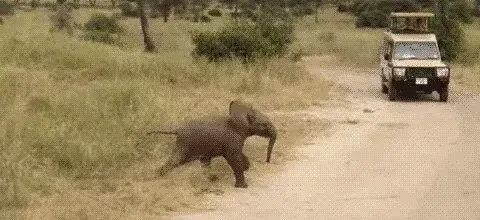 Farting, Then Lying About It 