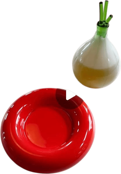 Onion Carafe