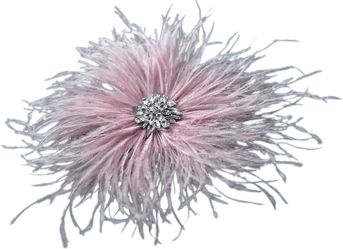 Women's Real Ostrich Feather Brooch