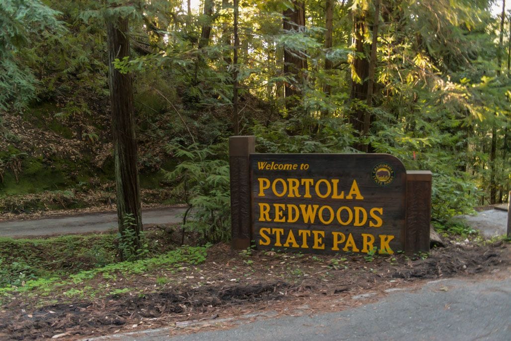 Portola Redwoods State Park