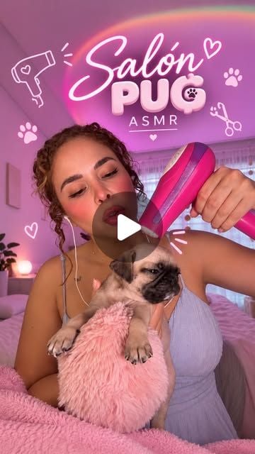 Pug Salon ASMR