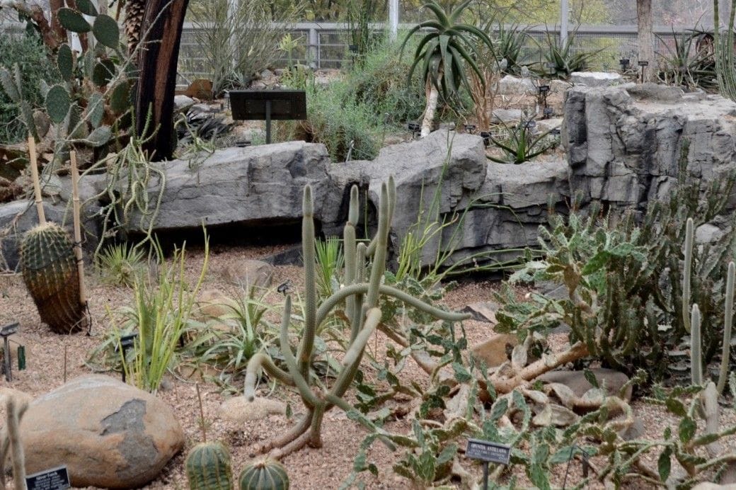 The best smell in the world is the Desert Pavilion at the brooklyn botanic gardens