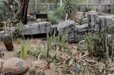 Desert Pavilion, Brooklyn Botanic Garden