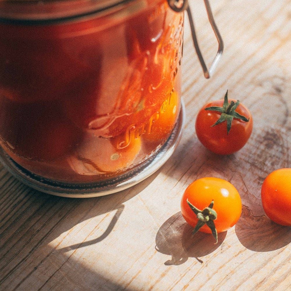 "Dry Brine" Fermented Tomatoes Recipe