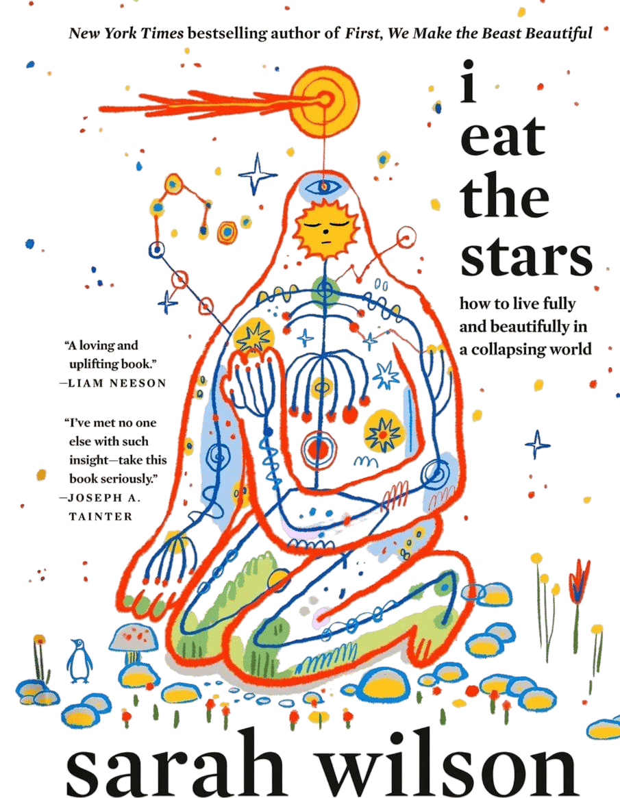 I Eat the Stars