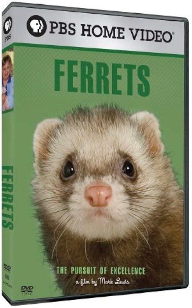 Ferrets. The Pursuit of Excellence