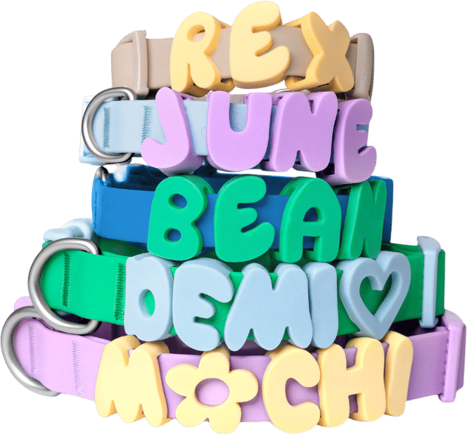 Springland Pets | Innovative Dog Essentials + Dog Travel Water Bottle