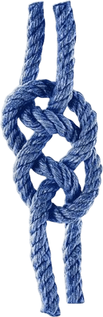 Knots 3D App