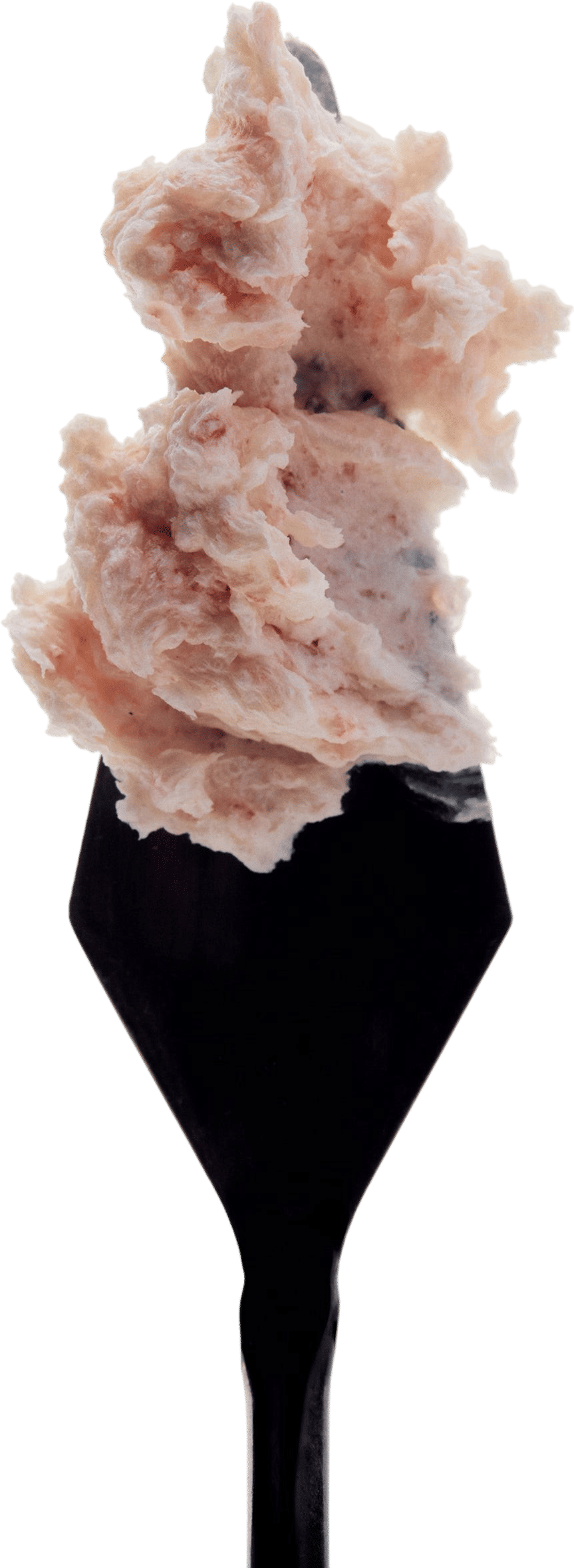 Himalayan Salt Scalp Scrub Shampoo