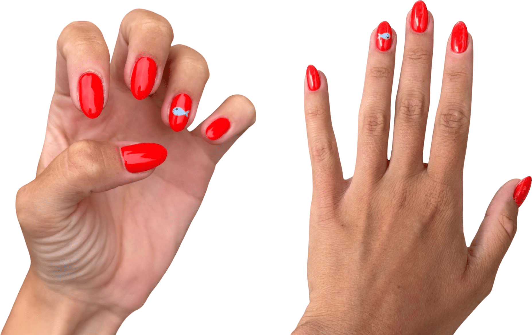 Pan con Tomate with Sardines Manicure