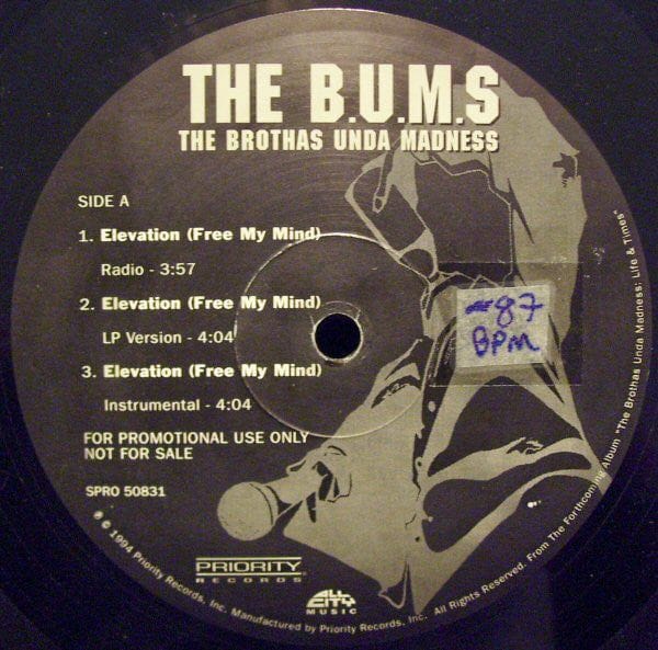 The B.U.M.S. (Brothas Unda Madness) - Elevation (Free My Mind) / 6 Figures And Up (12", Promo)