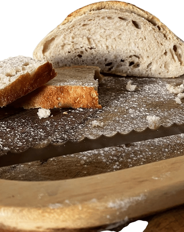 The Daily Sourdough