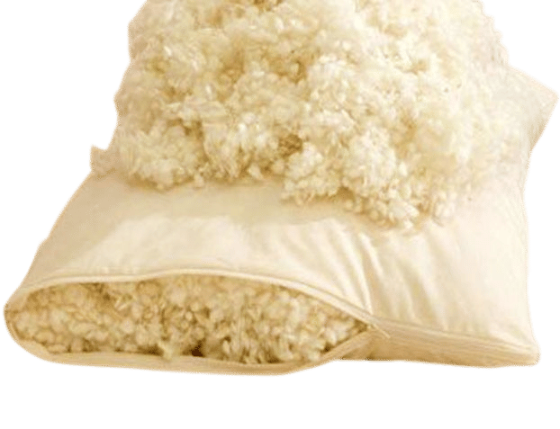 Kouchini Organic Wool Pillow
