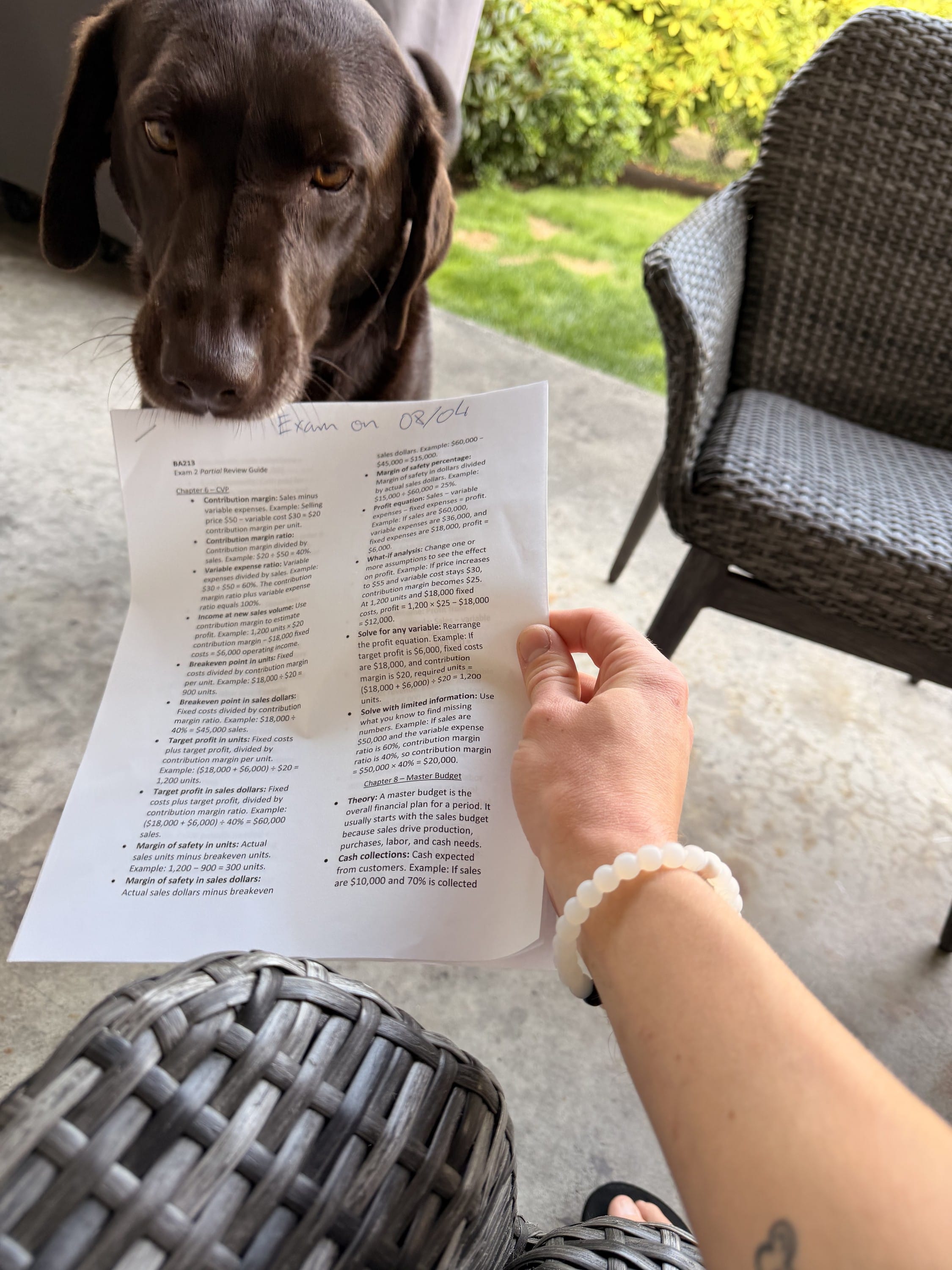 Your dog eating your homework