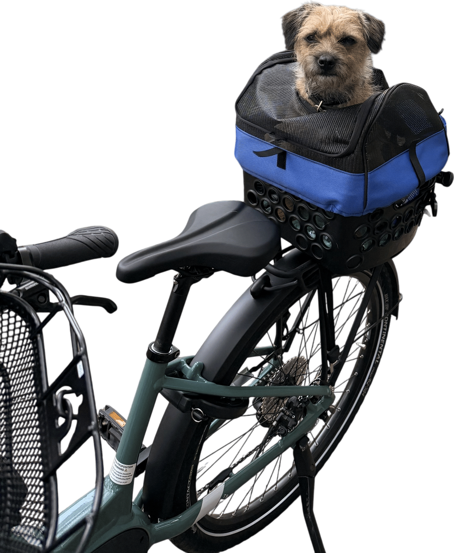 getting a bike basket for your dog