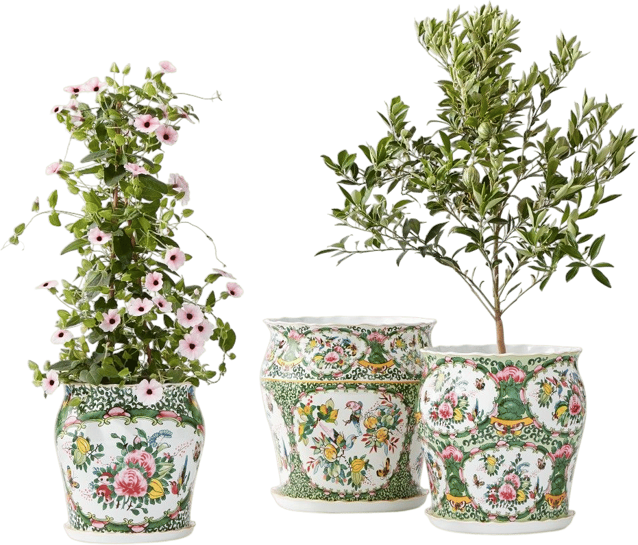 famille rose planters