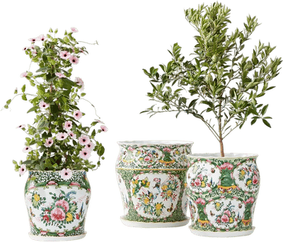 Famille Rose Planters