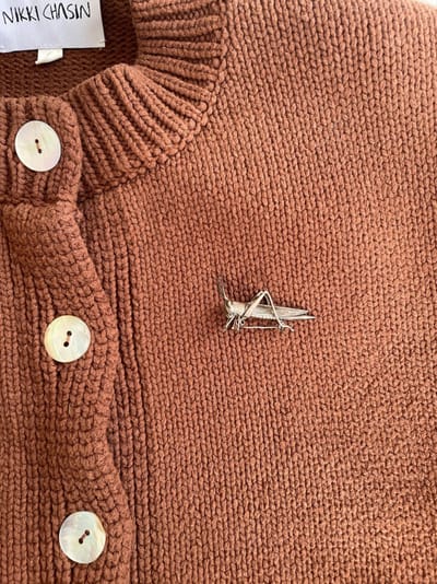 Sterling Silver Cricket Brooch