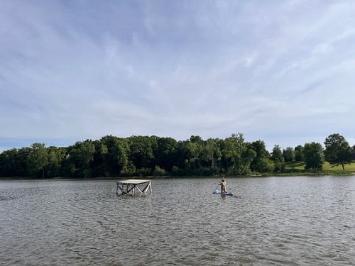 Solo Swim
