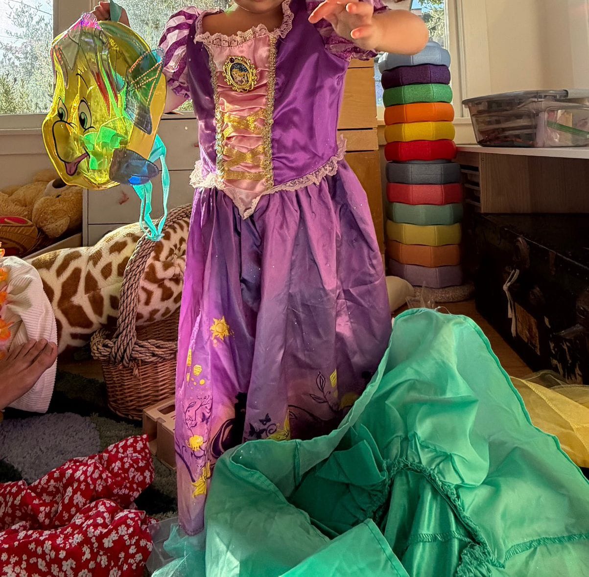 Goodwill for Dress Up Trunk