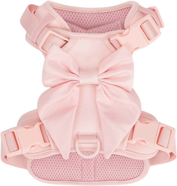 Bow Harness for Dogs