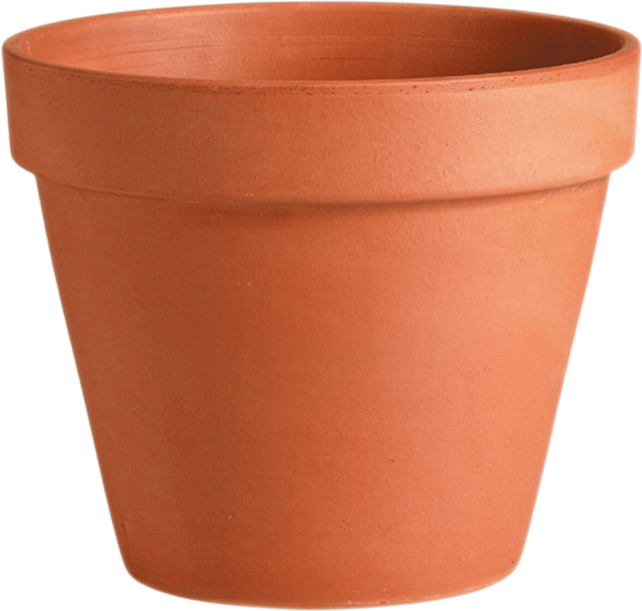 Terracotta pot