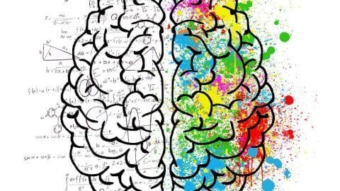 ADHD + Working Memory