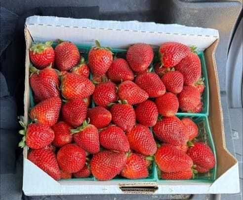street side strawberries
