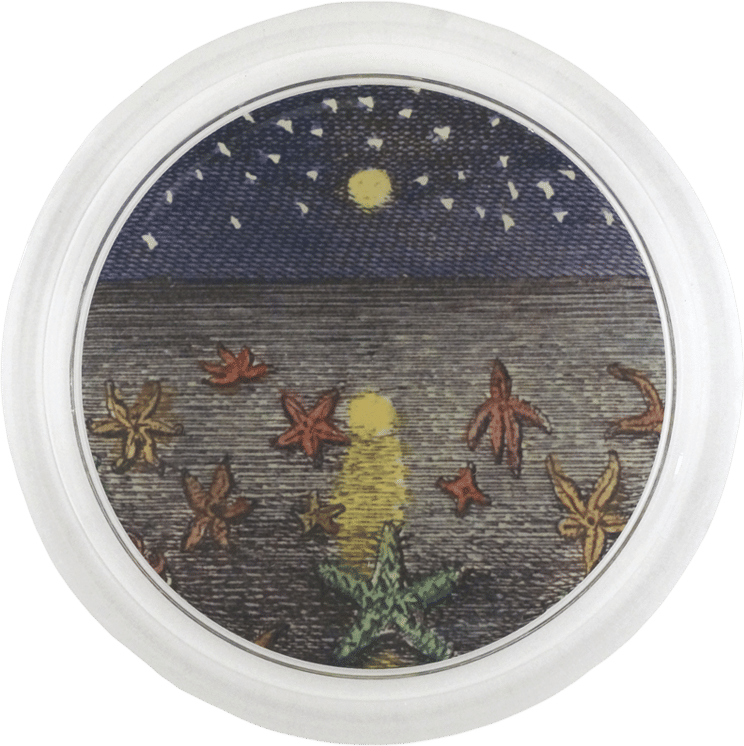 John Derian's Punishingly Expensive, 6" Mega-Coasters
