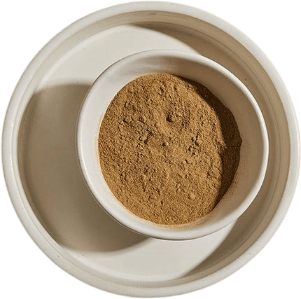 The Spice House Porcini Mushroom Powder