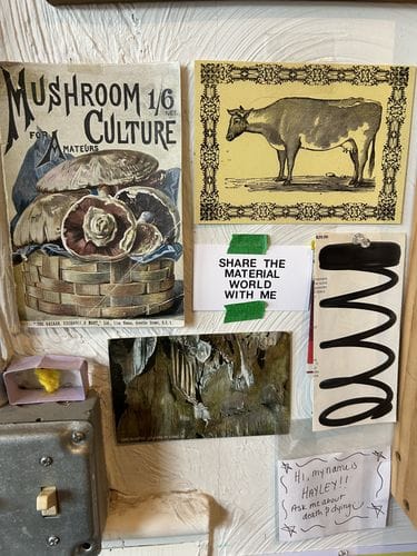 Fungus Books